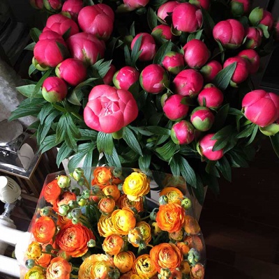 Floral Lounge Vibrant Flowers