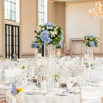 Blue Hydrangeas
