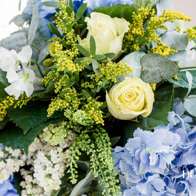 Lemon Roses