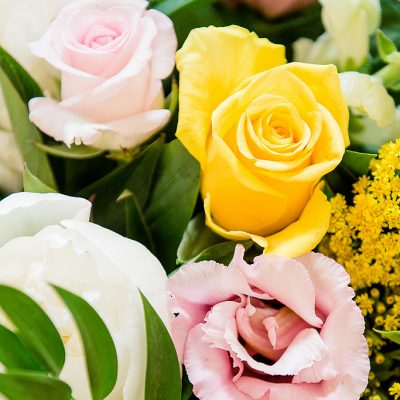 Pink & Lemon close up
